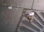 Pooflags campaign (pics this time)
