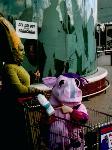 exeter cow 4