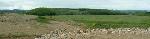 Phase 1 of Shaw forest, viewed from phase 2 (not planted yet)