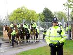 Horses by main gate