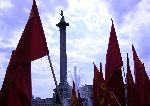 flags galore