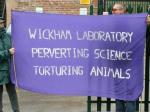 The banner.
