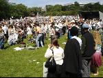 looking over the meadows...