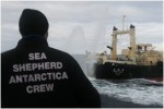 Sea Shepherd Crew Ready To Take Action
