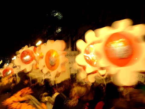 more creative bright light things - (earth flowers?)