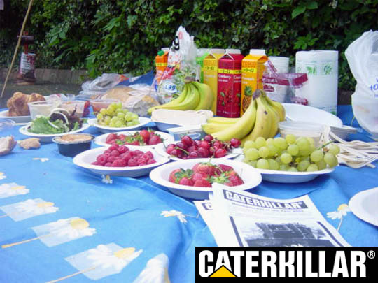 Fresh fruit, pastries and fruit juice?