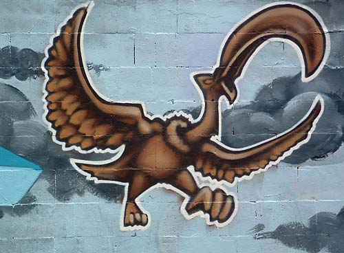 Graffitti bird