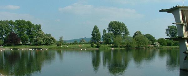 Foreground: Coate Water Country Park. Background: Coate