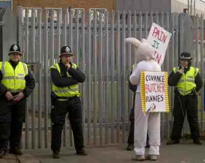 As its easter, the police were treated to a nice rabbit talking to them...