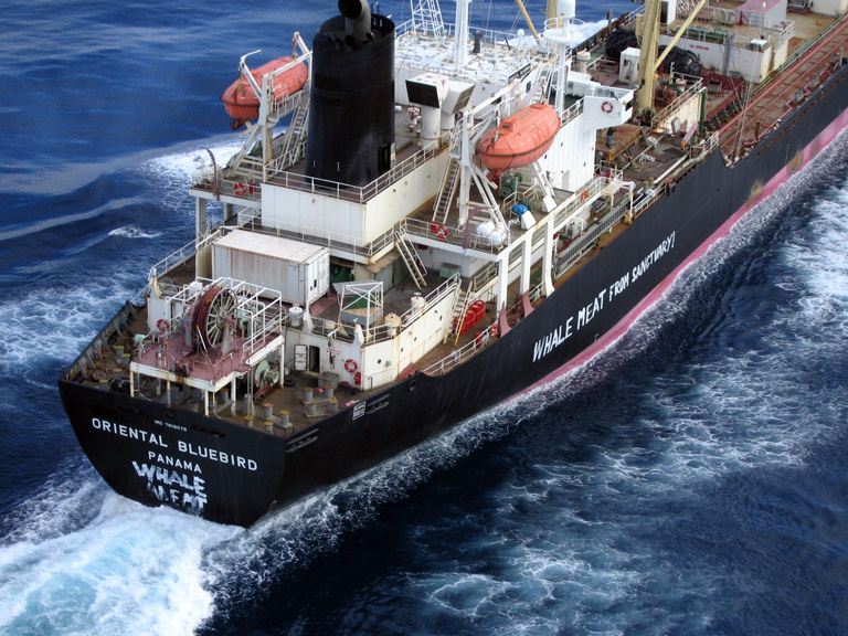 Greenpeace graffiti on Whaling supply ship