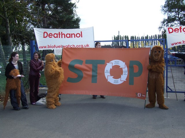 Orangutans turned up to support us