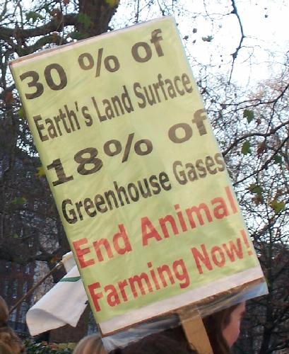 End animal farming