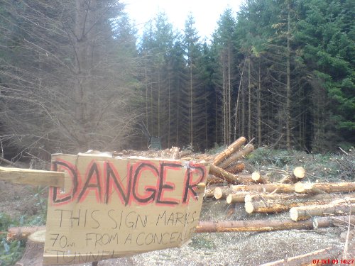 Trees felled and machinery operated near tunnels