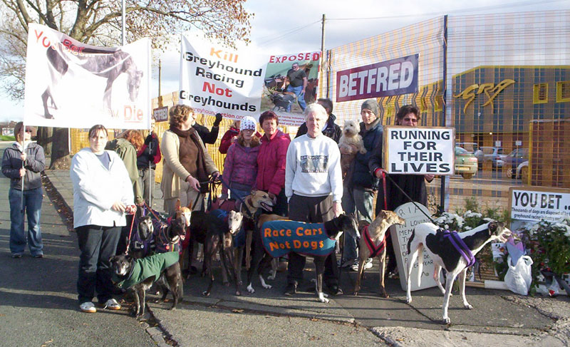 A ceremony outside the stadium in memory of all the greyhounds killed there