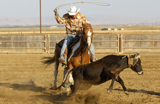 Romney brought brutal rodeo to the Salt Lake City Olympics