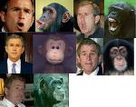bush goes monkeys
