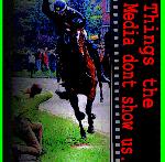 things yhe media dont show us