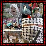 Palestina: all the power to the people !