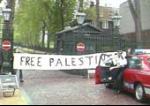 free palestine banner
