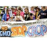 Report from Essex GM crops protest