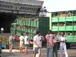 Live Exports - latest shipment from Dover