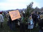 London Protest & English Bush (harmless)