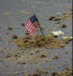 Pictures from A12 Anti-War Demo