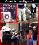 Looking for an exciting job?