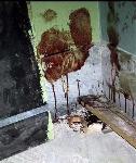 indymedia picture - blood on walls inside diaz school