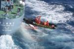 Greenpeace entangled between whale and Japanese whaling vessel