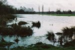 flooded golf course winter 2001/2002
