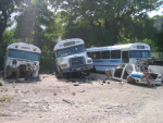 Dignite Buses Demolished (Photo by Sasha Kramer) See Article by Jeb Sprague