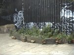 Guerrilla Gardening at Dalston Lane 1