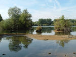Thrupp Lake in September