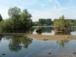 Thrupp Lake in September
