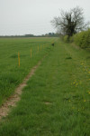 This lane runs along the eastside of Girton Woods. The fields are just ahead.