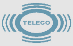 The Privatization of Teleco