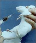 Vivisection is Scientific Fraud