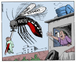 Dengue hemorrhagic fever outbreak in Rio de Janeiro.