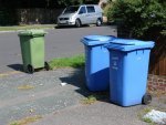 wheelie bins left in street