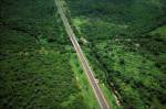 A road runs through the Amazon jungle, in the Brazilian state of Ceara. - HEMIS