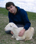 OPEN RESCUE OF 4 LAMBS – DEDICATED TO BARRY HORNE (Spain)