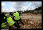 Activists Pull Down Settlement Fence in Beit Ommar, Palestine