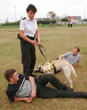 Portsmouth Smokey Bears Picnic Photo - sniffer dog still trying for a result