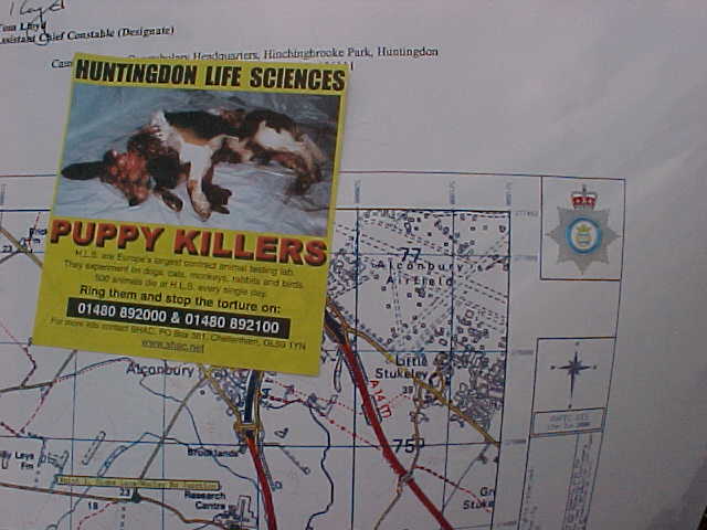 Public Discgrace (Huntingdon Life Sciences)