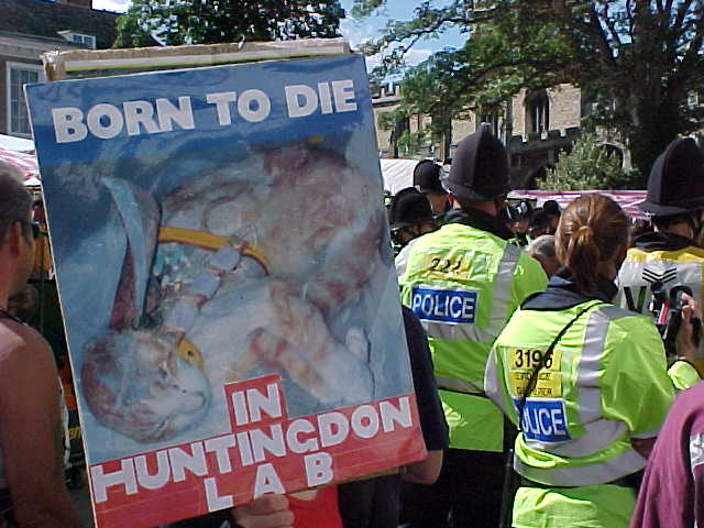 Huntingdon - Placard: Born to Die