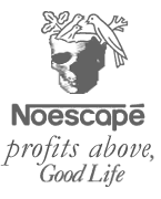 Action against Nestle in Bristol