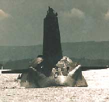 FASLANE CAMP (picture 1)