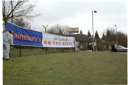 anti-gm cows blockade Sainsbury depots