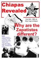 Chiapas Revealed